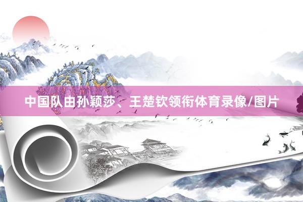 中国队由孙颖莎、王楚钦领衔体育录像/图片