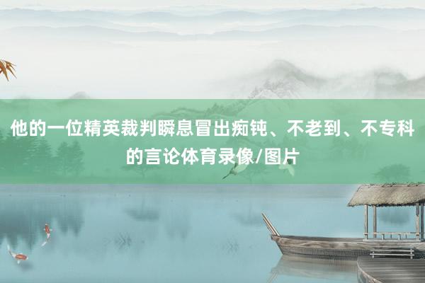 他的一位精英裁判瞬息冒出痴钝、不老到、不专科的言论体育录像/图片