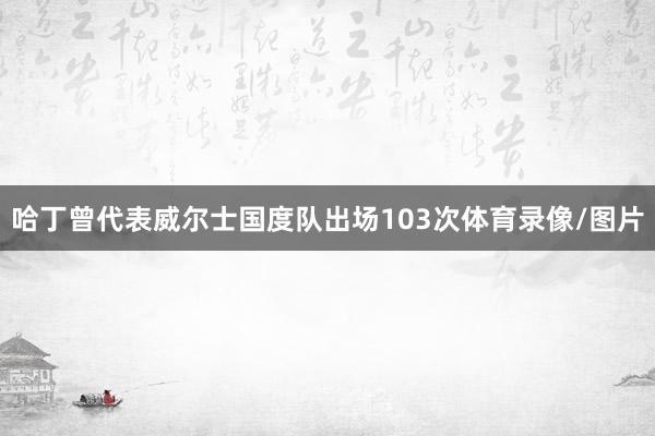 哈丁曾代表威尔士国度队出场103次体育录像/图片