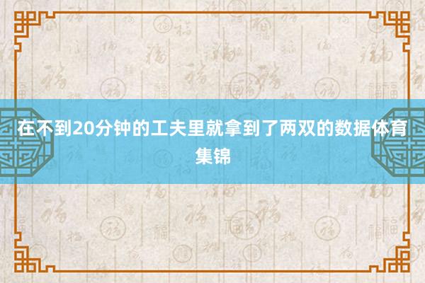 在不到20分钟的工夫里就拿到了两双的数据体育集锦