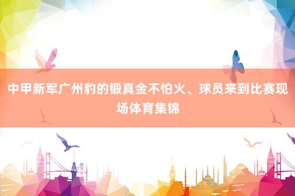 中甲新军广州豹的锻真金不怕火、球员来到比赛现场体育集锦