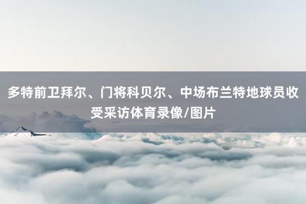 多特前卫拜尔、门将科贝尔、中场布兰特地球员收受采访体育录像/图片