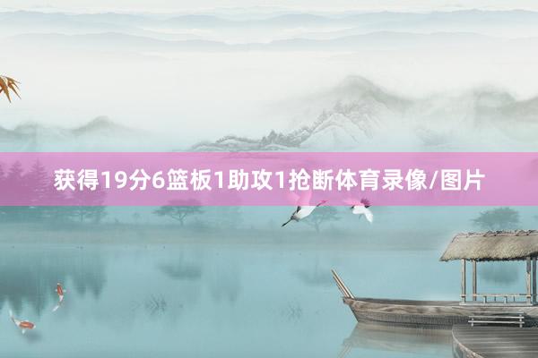 获得19分6篮板1助攻1抢断体育录像/图片