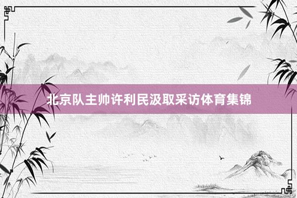 北京队主帅许利民汲取采访体育集锦